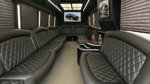 30 passenger party bus interior